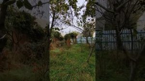 Елизаветинская. Дом. Дача. Рыбалка. Отдых.