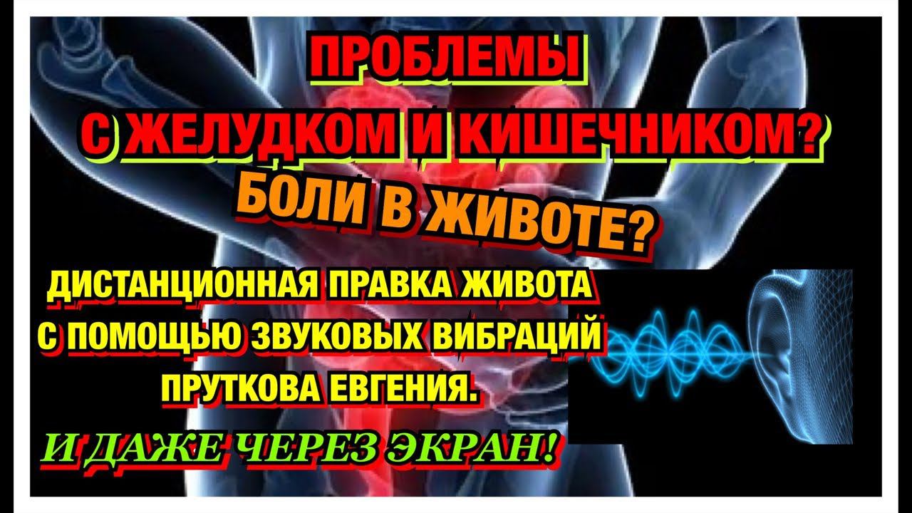 ПРОБЛЕМЫ ЖКТ? ПРАВКА ЖИВОТА/УСТРАНЕНИЕ БОЛИ ЧЕРЕЗ ЭКРАН/БЕЗ ТАБЛЕТОК! ВИБРАЦИИ ПРУТКОВА ЕВГЕНИЯ - 11