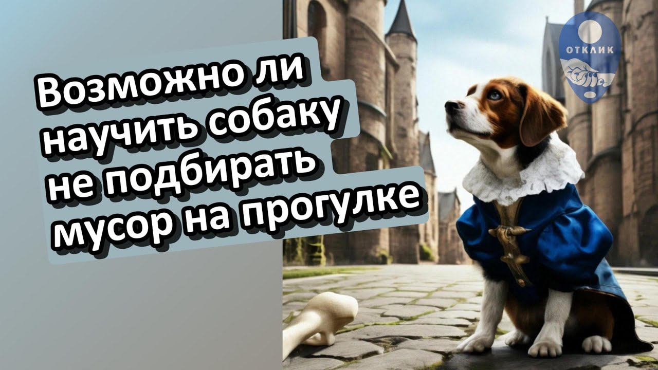 Научить собаку не подбирать мусор на прогулке?