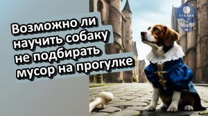 Научить собаку не подбирать мусор на прогулке?
