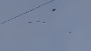 Бескружные голуби Иркутска 1