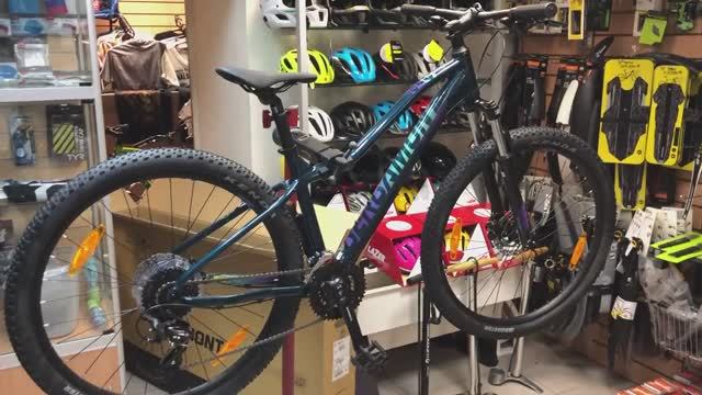 Велосипед женский Bergamont Revox 3 FMN (2021)