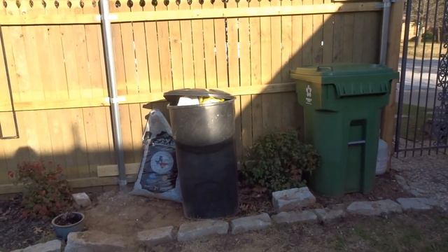 BULB UPDATE  NEW FENCE  BACK GARDEN TOUR MARCH 2020 