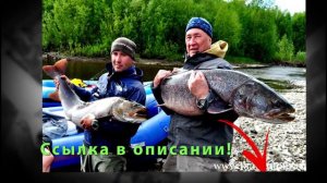 Отзывы начинающего рыбака. FishHungry