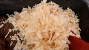 Выгонка тюльпанов к 8 марта ответы на вопросы