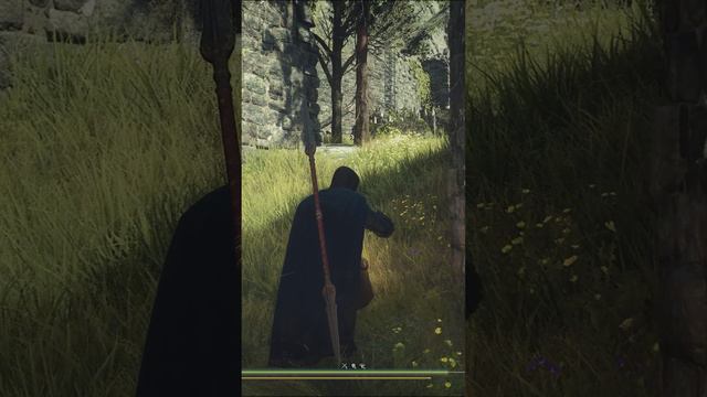 ESonyx Dragon's Dogma Moments - 7 #shorts #dragonsdogma2 смотреть онлайн