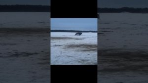 11.02