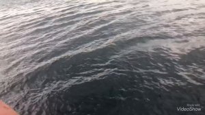 Рыбалка на новой земле