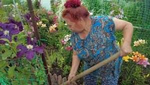 (12+) Дачная история: шесть соток Галины Цицаркиной