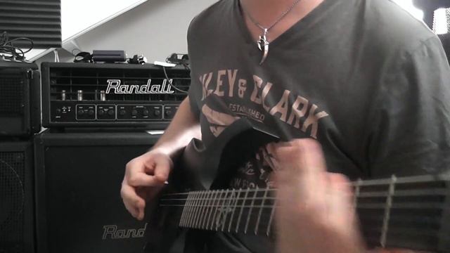 Washburn solar 16ETC смотреть онлайн