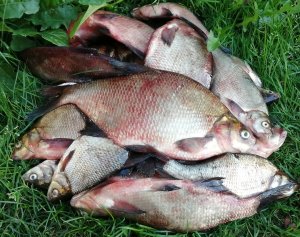 ловля леща на волге с лодки