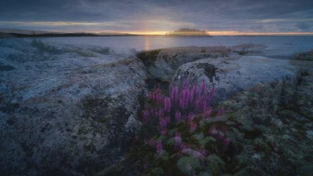 Music for meditation and relaxation / Музыка для медитации и релаксации смотреть онлайн