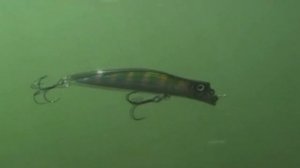 Воблер Дартер Квин поверхностный топ вотер от Страйк про Darter-R Queen Top Water