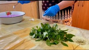 КАК ПРАВИЛЬНО СРЕЗАТЬ🌱ОТРОСТОК ГАРТЕНЗИИ И ПОСАДИТЬ.Гортензия гулини куртакларидан купайтириш