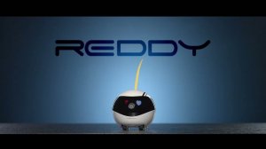 Как создают роботов-друзей REDDY?