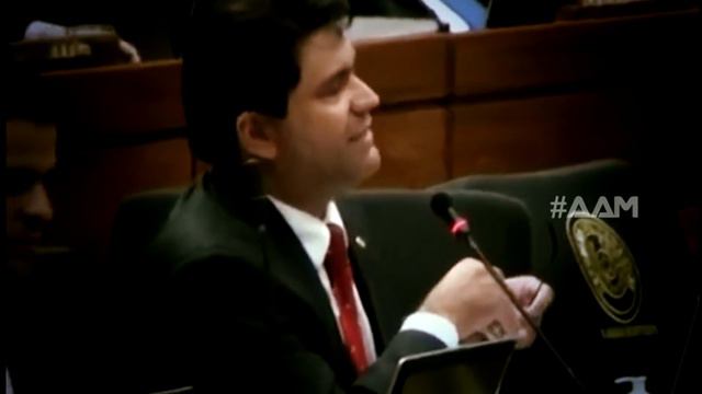 AAM - Diputado José Maria Ibañez (P26) смотреть онлайн