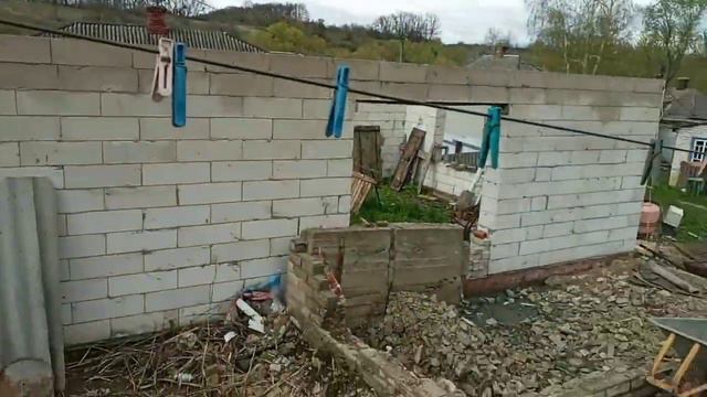 Пчела на Опылении Сада.пригород Харькова. смотреть онлайн