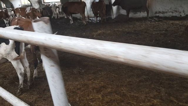 Без названия смотреть онлайн