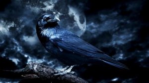 Эдгар Аллан По - Ворон