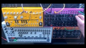 130 bpm Acid House / Techno / Tech House -  Behringer RD-9 Crave Edge & TD-3 Synths #303 #acid