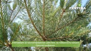 Фертика Хвойное осень для вечнозеленых и голубики NPK 7,2;12,1;21