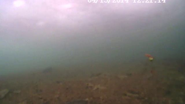 Зимняя рыбалка с подводной камерой смотреть онлайн