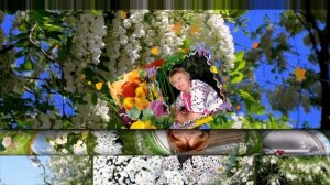 "" Я АКАЦИЯ ""