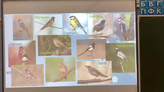 Открытый урок по окружающему миру 2 класс смотреть онлайн