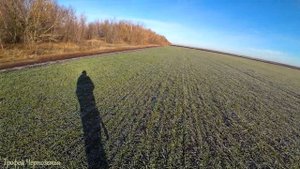 БРАКОНЬЕРЫ ЛОВЯТ ЗАЙЦЕВ ЖИВЬЕМ! Охота на зайца 2021