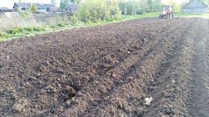 Т-25 в работе!