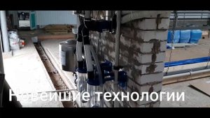 Коровник на 200 голов Типовой проект