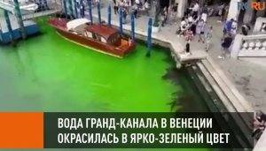 Вода Большого канала в Венеции окрасилась в ярко-зеленый цвет