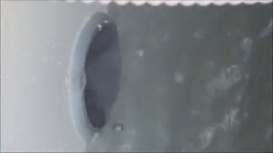 Работа жироуловителя в Топасе