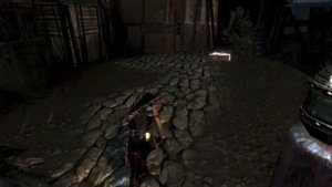 Tomb Raider (№11) -  Ротт...