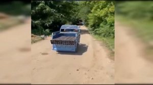 Грузовой электротрицикл Rutrike Дукат в работе - smart8.by