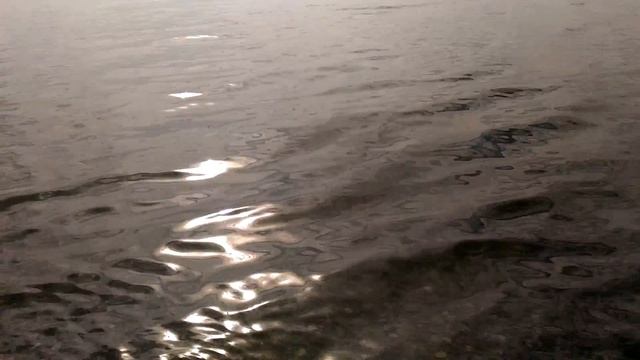 Авачинская бухта. Чистая вода.