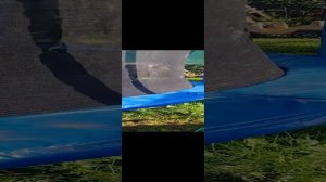 Наш уютный дворик