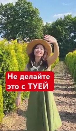 90% садоводов не знают ЧТО НЕ ЛЮБИТ ТУЯ