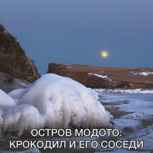 ОСТРОВ МОДОТО: КРОКОДИЛ И ЕГО СОСЕДИ
