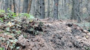 Землянка  , Домик в лесу , в Одиночку   Своими Руками , делаю фасадную часть