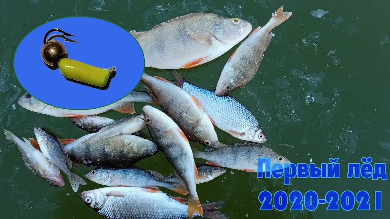 ПЕРВЫЙ ЛЁД | ЭТУ БЕЗМОТЫЛКУ НАДО ЗАПРЕТИТЬ | ЗИМНЯЯ РЫБАЛКА 2020-2021 смотреть онлайн