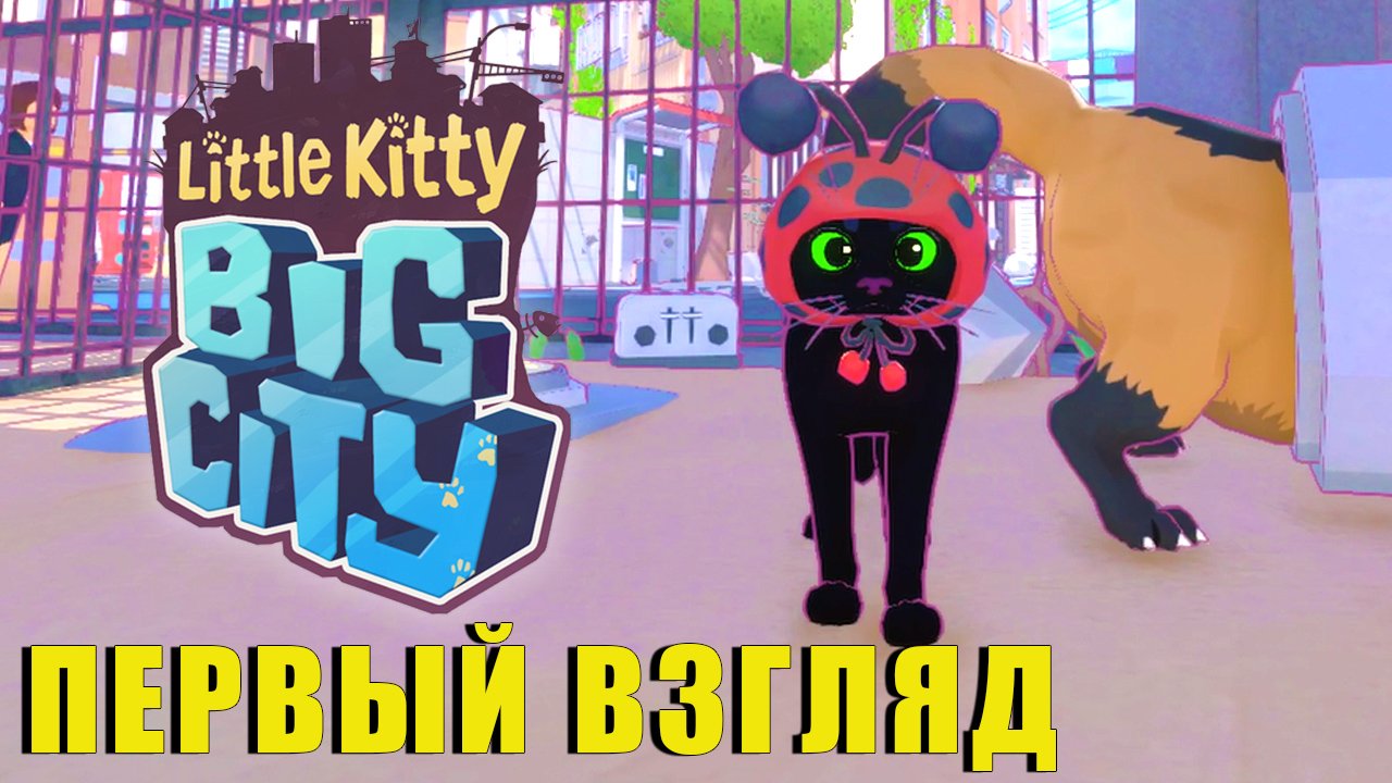 Первый Взгляд | Little Kitty Big City