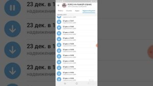 Фрейя Зильбер о полиции