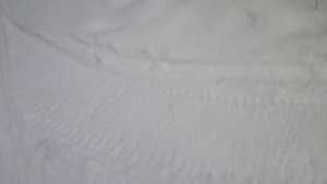 Мотобуксировщик БУРЛАК - М взятие высоты