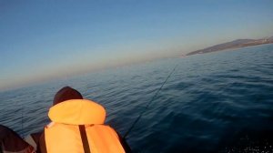 Лодка River Boats 370, мотор Mikatsu 9.9 (15) л/с