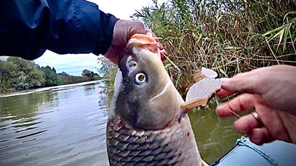 ЧТО ЕЩЕ МОГЛО ПРОИЗОЙТИ??? ЧП за ЧП -ЗАБРАЛИСЬ в низовья Астрахани с Женей рыбалка 68. Рыбалка 2022. смотреть онлайн