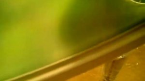 Круглый стеклянный стол для кухни.