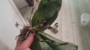 Просили- просили и выпросили😜🤪. Получите-распишитесь 🤯.