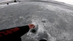 КРУПНАЯ ПЛОТВА на БЕЗНАСАДКУ зимняя рыбалка со льда, Гореморе