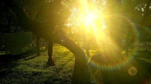 Плавный Переход.